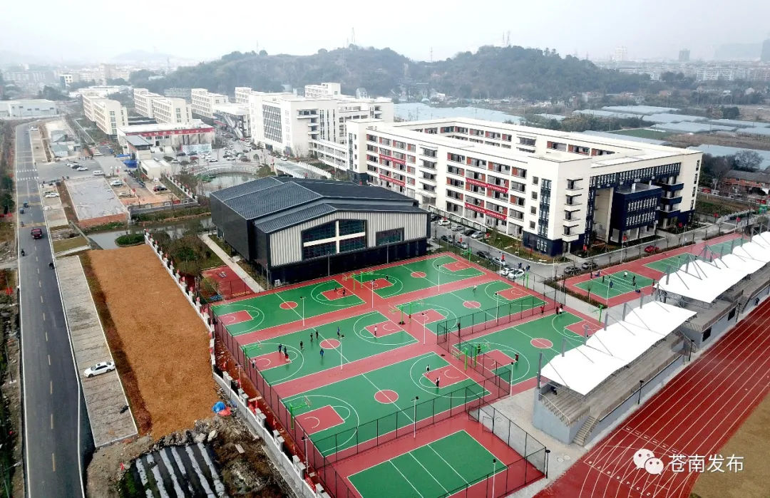 建县|苍南建县40周年丨40年时光机里的教育之变 从“有学上”到“上好学”