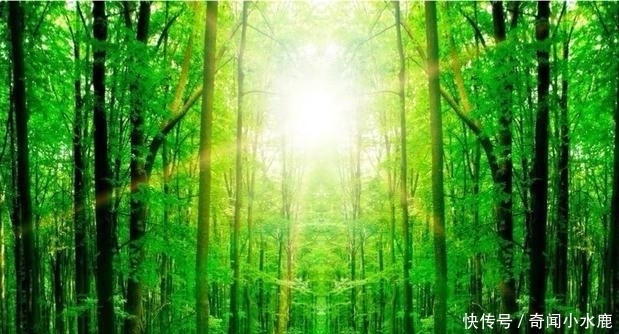 恒星 宇宙中最亮的星体,比太阳亮了700万亿倍,堪比2万多个银河系