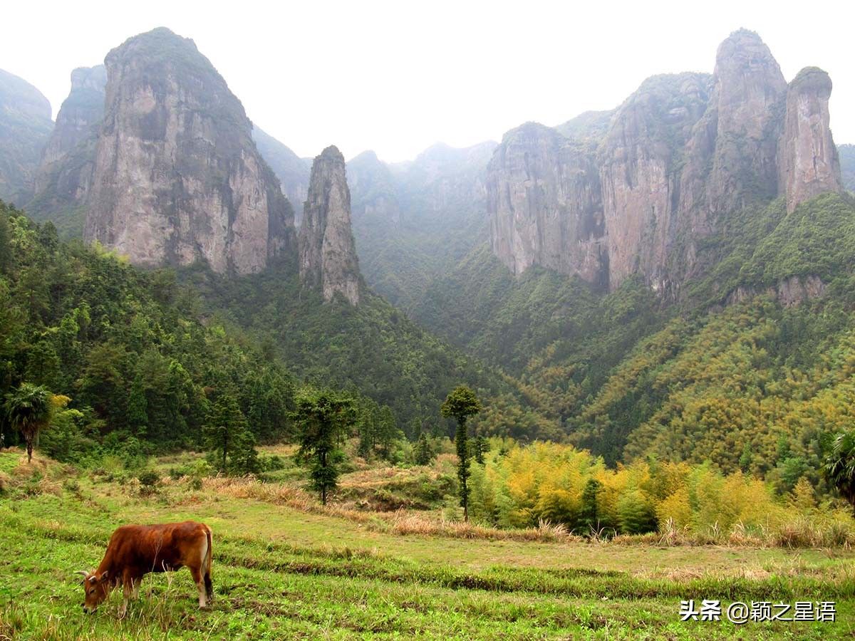 仙居|浙江竟然还有不通公路的村庄，遗落深山，美如世外桃源