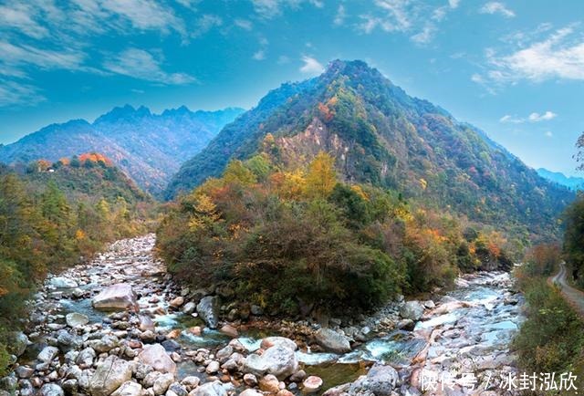 秘境|媲美光雾山！平武这条沟，藏着一个惊艳的彩林秘境！