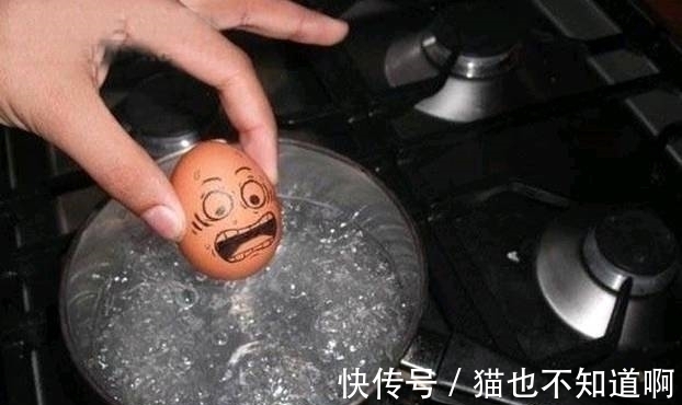 |搞笑图片幽默段子笑话:很明显这只鸡蛋并不想被下锅,哈哈