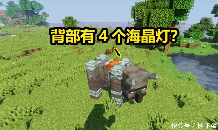 我的世界 玩了这么久的mc 才发现劫掠兽的背部 有4个海晶灯 全网搜 我的世界 玩了这么久的mc 才发现劫掠兽的背部 有4个海晶灯 全网搜
