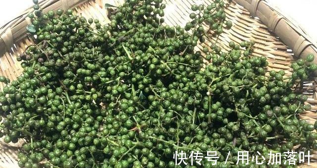 花椒油不要直接油炸,厨师长教你正确做法,又香又麻看一眼就会!