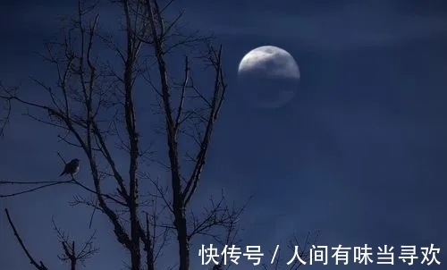 望月有感!入选中小学教材诗词最多“五大巨头”是谁,最多的达到多少篇?