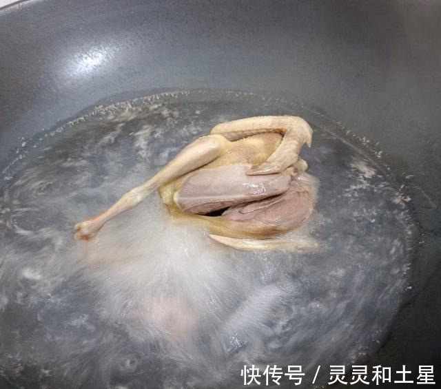 当归黄芪鸽子汤！