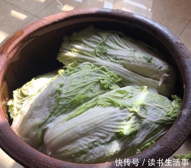  腌酸菜，东北大娘教你3个技巧，保证酸香脆爽，久放不霉，超好吃