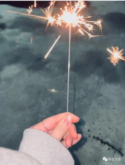  昨晚年夜饭，你啥风格？