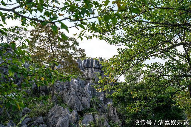 “华东第一石林”千岛湖石林，江南罕见的地质奇观，壮观且秀丽