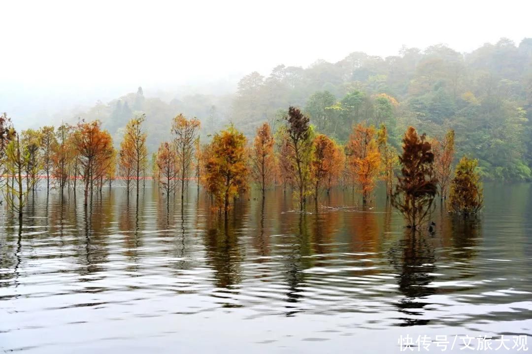 一帘|铜锣坝：烟雨里的一帘幽梦