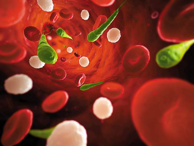 50岁后有心血管疾病的人,4类食物要撤下餐桌,血管才能健康