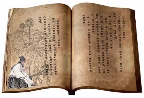 本草求真|没病也可以吃点三七粉？三七粉究竟是治啥病的，中药有哪些特点？