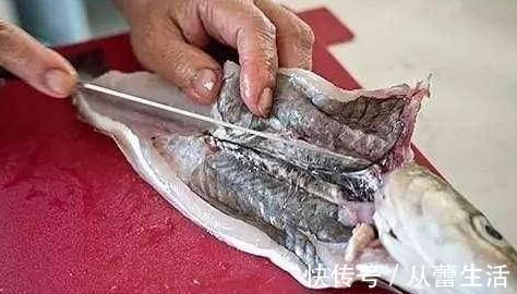 维生素b|鱼的腹部有层黑膜,到底能不能吃?营养师解答你的疑惑!