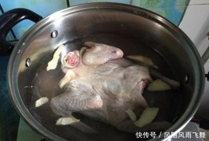 一鸽胜四鸡,有条件要多吃,教你这样炖汤,肉质鲜香嫩滑,营养高
