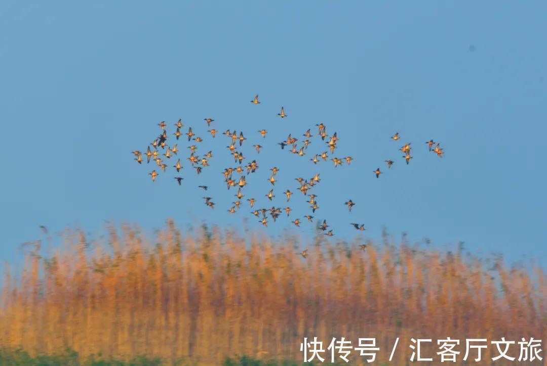 秋浦歌|不输九寨！安徽私藏这座无人知晓的世外桃源，连李白都点过赞