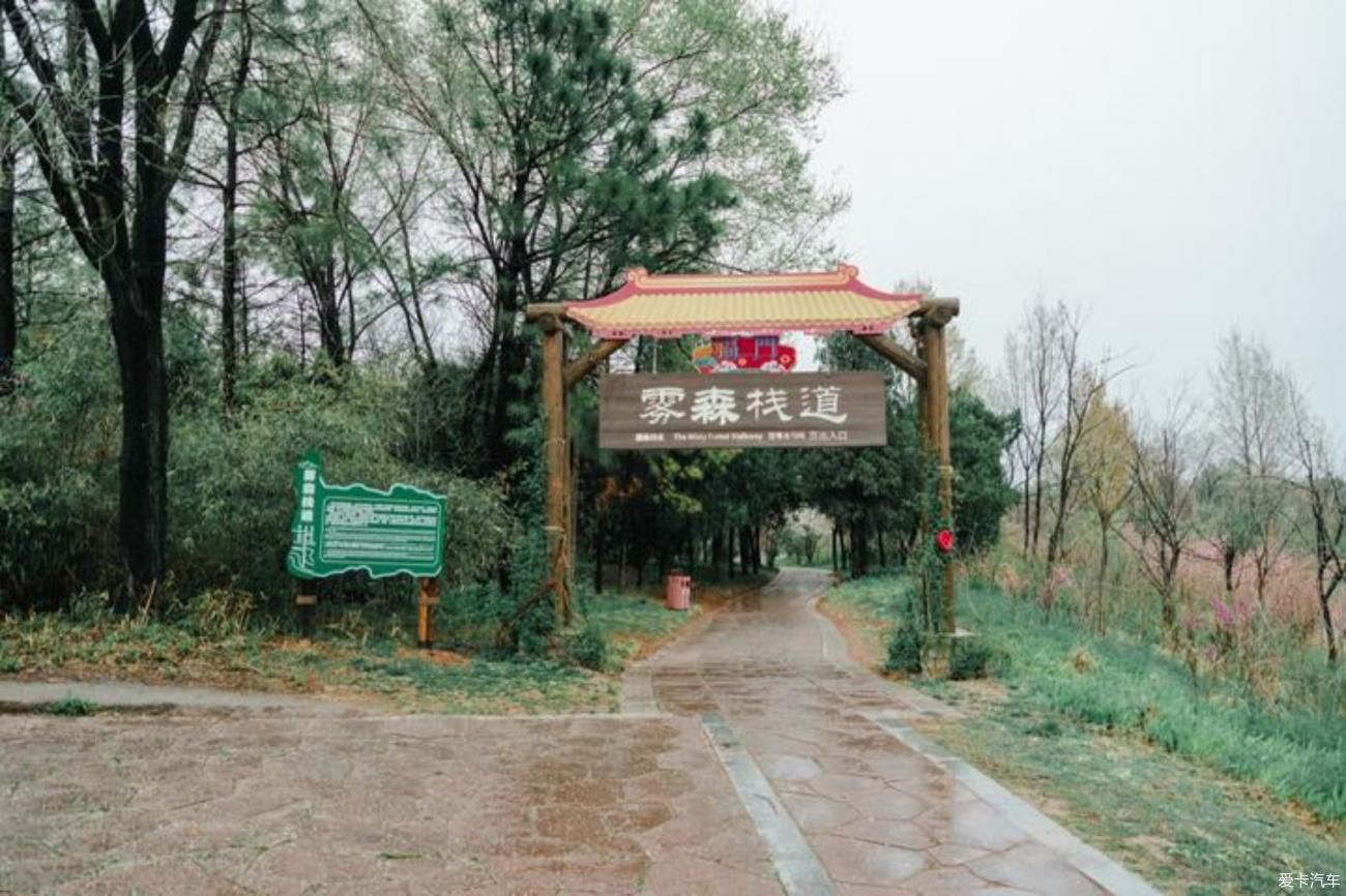 梨花一枝春带雨，梨兰相会总关情