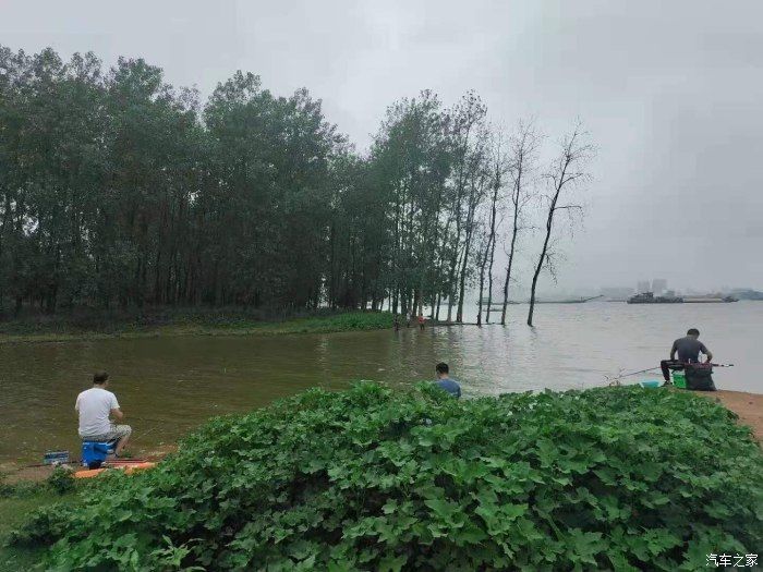 奶茶|没有秋天的第一杯奶茶只有秋天的第一次钓鱼