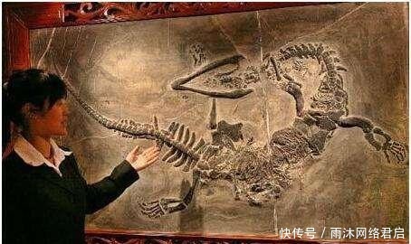 巨龙|长江考古发现“巨龙”,长7米距今6000年,专家:龙曾经存在