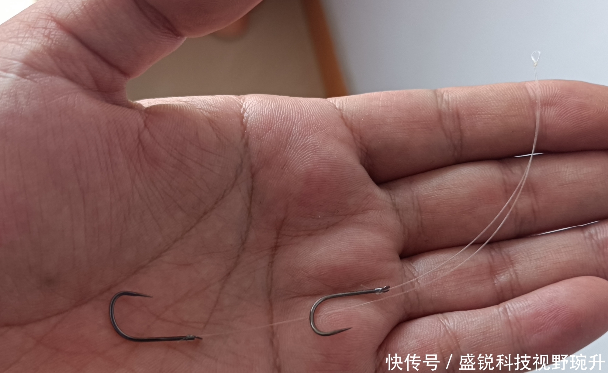 钓鱼就用短子线,无论大鱼小鱼,10厘米足够了