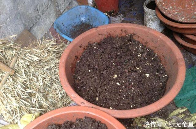 钓鱼用不完的蚯蚓,可以这样保存,都不用花钱再买了