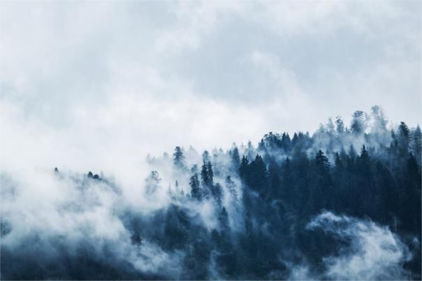  爱情|方东清/烟雨江南烟雨情