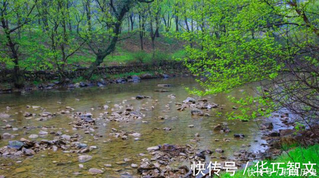 小溪$杨万里一首有趣的咏梅诗,开篇就显得与众不同,结尾则是千古名句