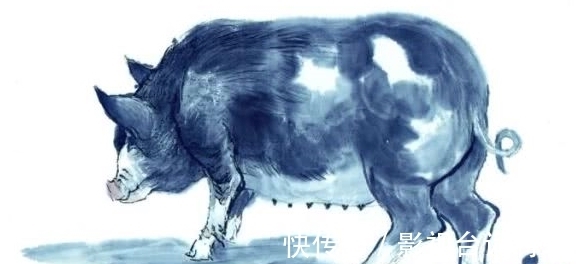 生肖|71年生肖猪50岁以后的运势,生肖猪的运势会如何呢?