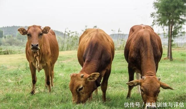  「花前月下」珲春美食篇！