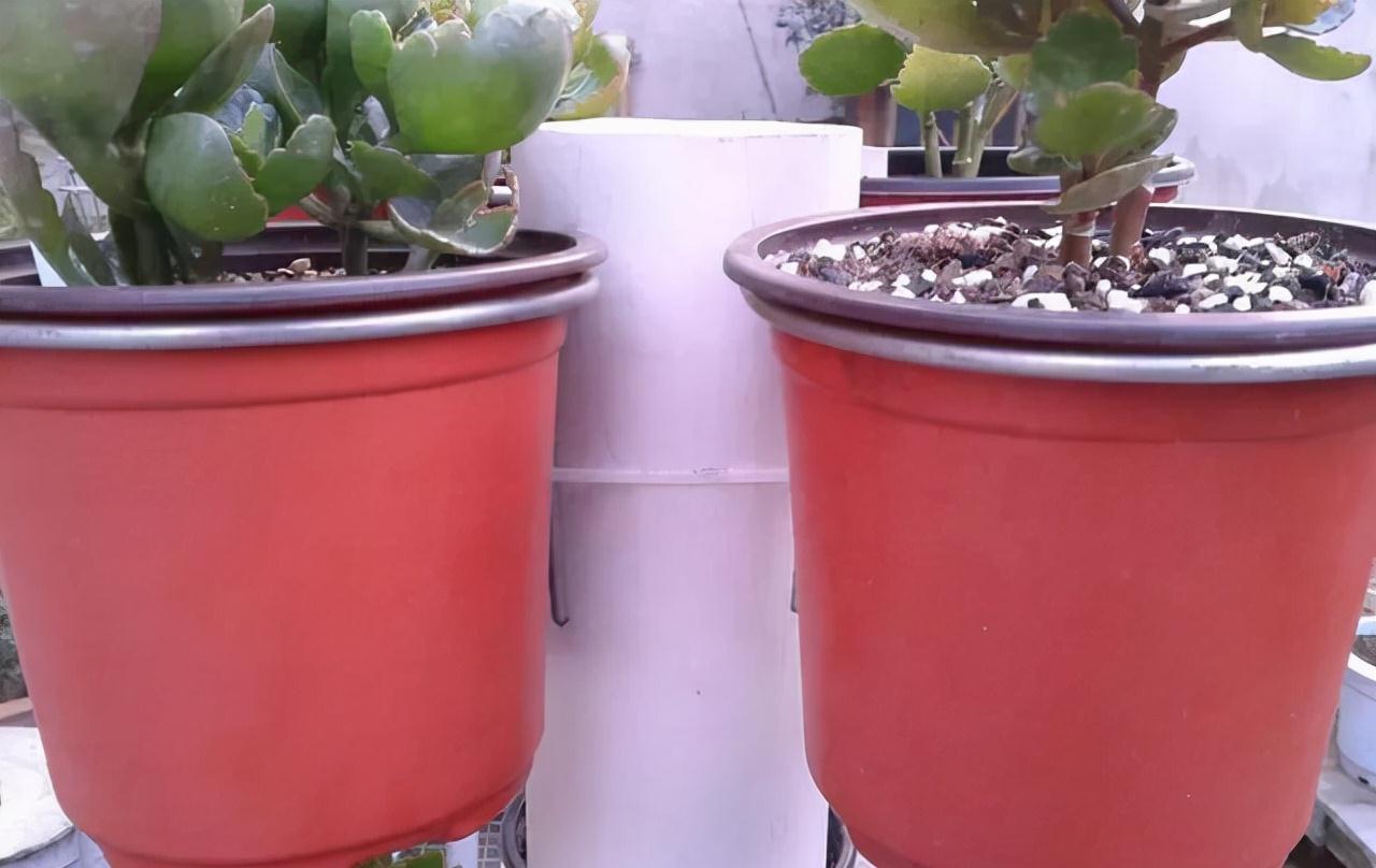 养花太占地方学会简单1招做个养花架,1㎡养20盆也不挤