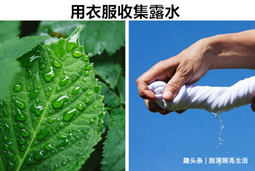 在千钧一发的危急时刻,可以拯救你生命的10个生存技巧