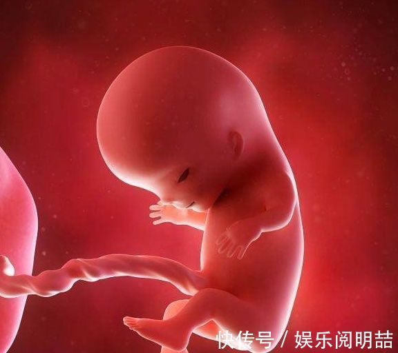 宝宝|怀孕后,孕妈若有这5种“表现”,恭喜,可能是个贴心“小棉袄”