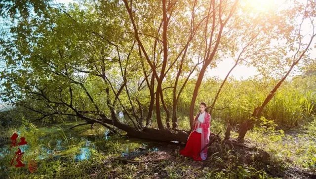 漫天彻地|配乐诗朗诵：红尘雨