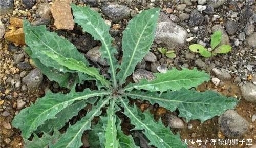  土地|中国古代的穷人都吃什么？放到现代，你可能一天都坚持不下去