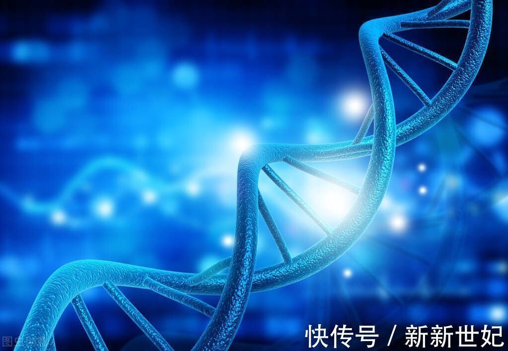 生男生女|为什么有些家庭一直生儿子,有些家庭一直生女儿?