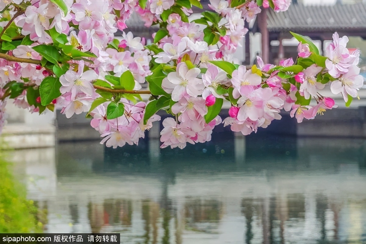 细“鼠”点滴：极不平凡的2020年，看完竟然默默流泪了！