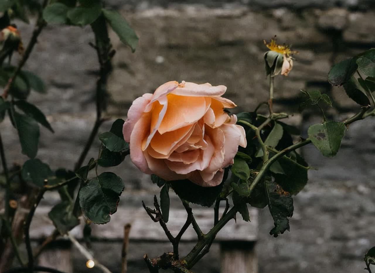 浮躁&做好这六件事,让浮躁的心静下来