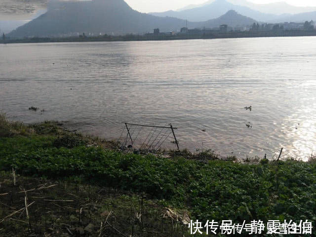 红薯丁|本地使用红薯为饵的方法,分享给各位钓鱼人