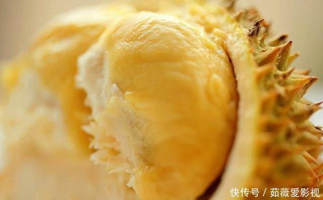 榴莲树一年可结400多个果，为什么卖那么贵原因其实很简单