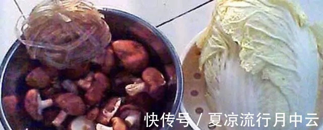 豆腐皮|12款素饺子做法集锦,有了这个家人有口福了!