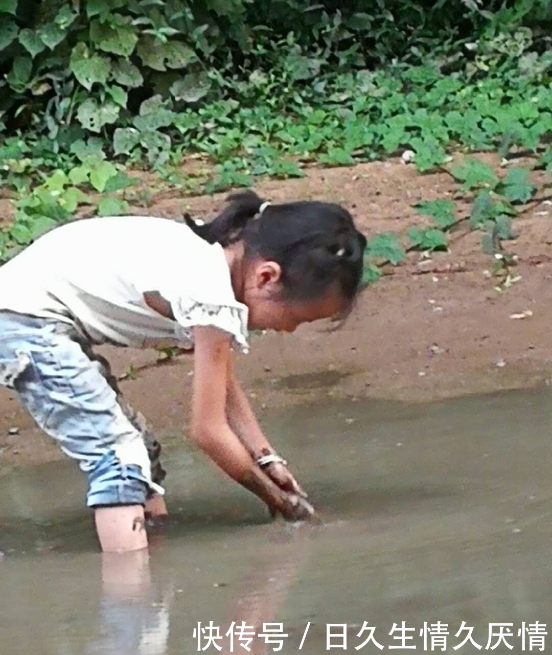 5岁女孩下水塘捉鱼，收获满满，城里小孩啧啧称奇