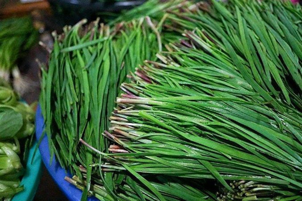 禁忌|一畦春韭绿，鲜味口中留，韭菜是天然“长寿药”，但有2个禁忌