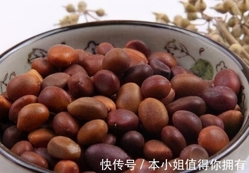 酉阳杂俎#古籍中的异事:少女鼻孔中长出神秘息肉,取下后才知道大有来头