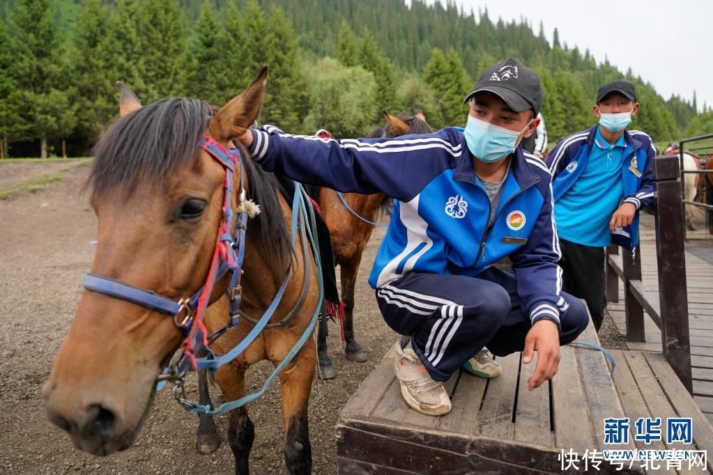 东门|草原马队：“马”上迎来好生活