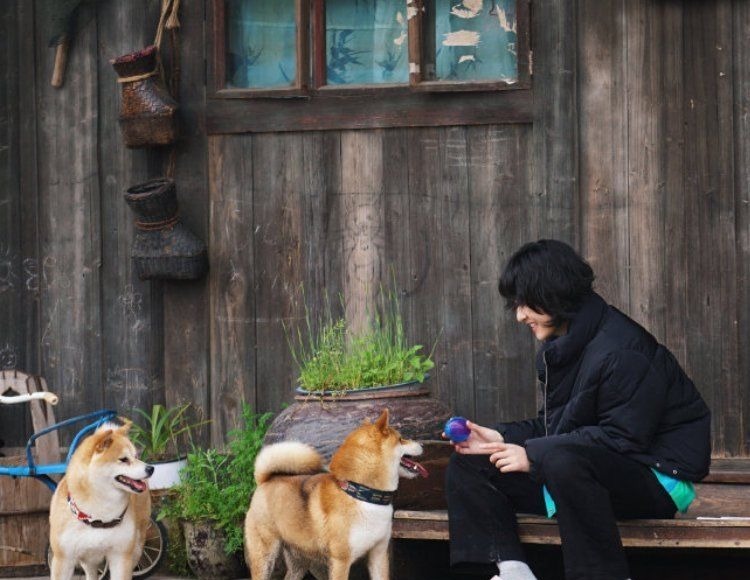 偶像包袱|导演为何只选张子枫一位常驻女嘉宾？看完首期节目后，终于明白了