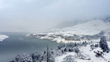 雪景|静谧如画！凉山雪景如绝美水墨画