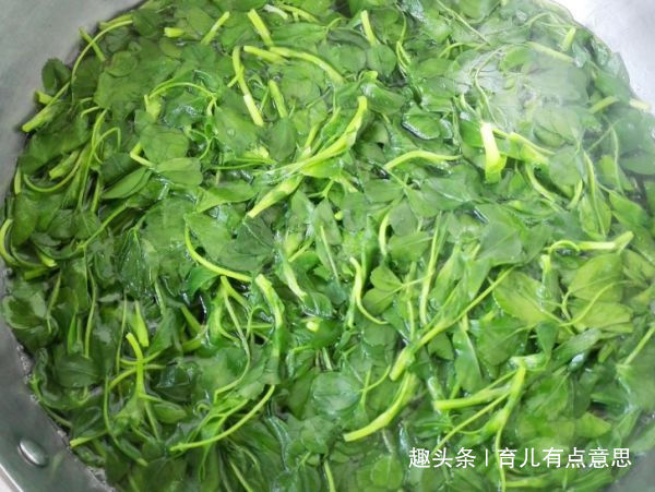 皱纹|藏在路边“补血菜”,比荠菜好吃,补铁淡斑,皱纹不见,肌肤白净