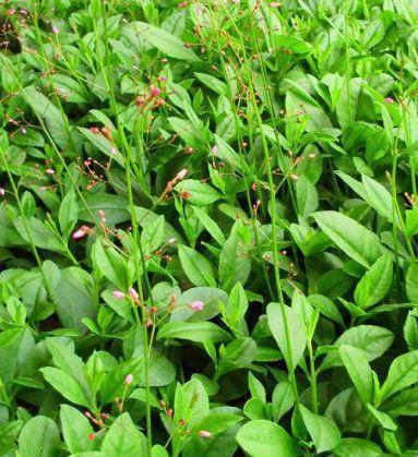 美容|女性担心老太快,推荐的食物,保护血管,护肤美容,滋养肌肤