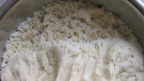  学会|不管做什么发面面食，学会这样发面，20分钟发满盆，松软又劲道