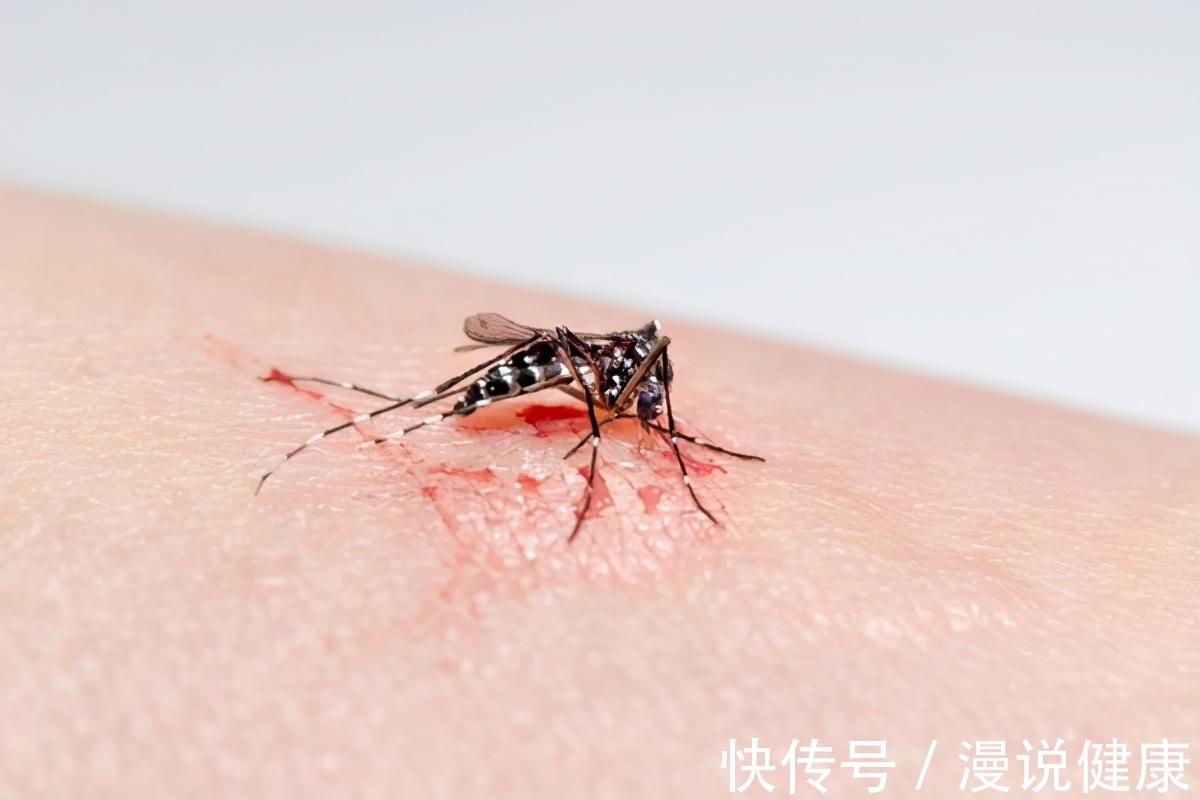 秋季|夏天已过,秋天的蚊子为何还猛如虎?做好4件事,安心过好秋