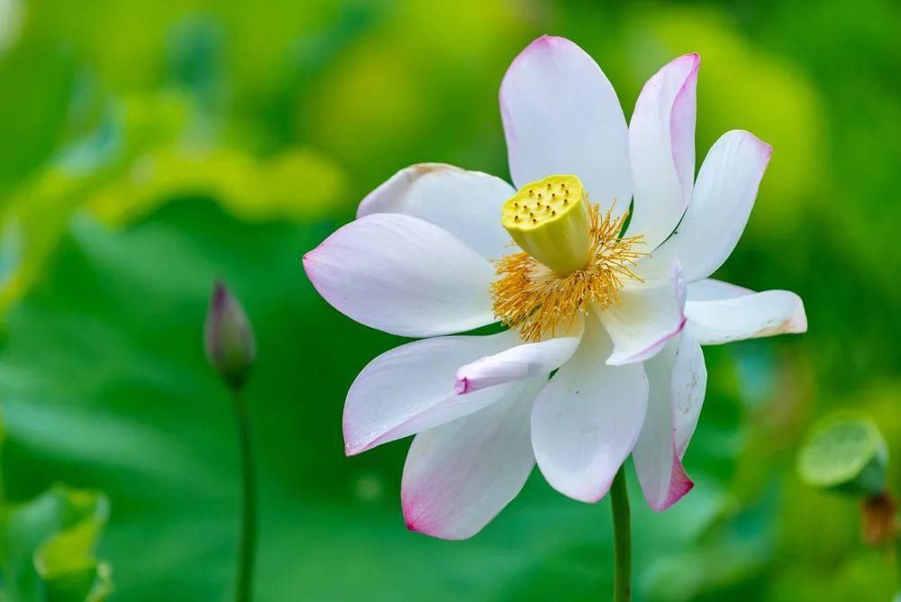 有山有水享清凉，打卡这些夏日好去处|清凉一夏·遇见星空 | 夏日