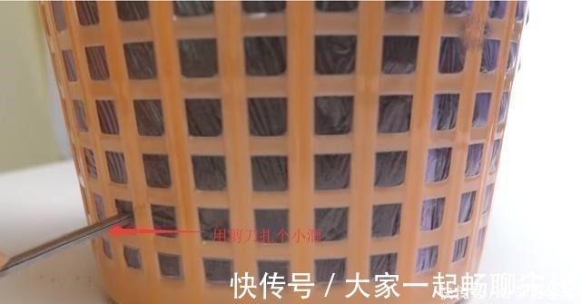 大蒜|一个垃圾桶,能种出一桶蒜!多到吃不完,以后家里一年都不用买了!